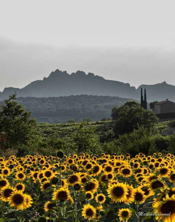 Malaucène Chambres D'Hotes Aux Tournesols מראה חיצוני תמונה
