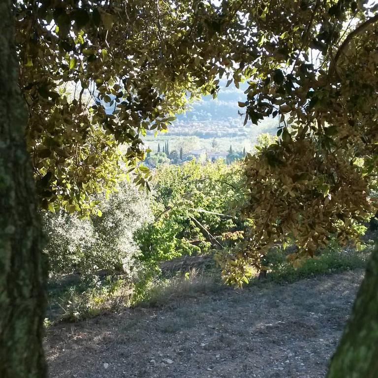 Malaucène Chambres D'Hotes Aux Tournesols מראה חיצוני תמונה